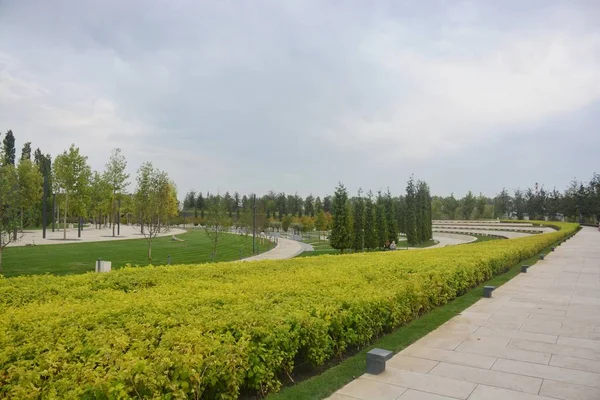 Peyzaj Park ve güzel bir Avenue güzel doğa