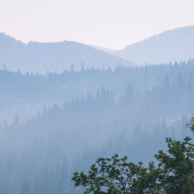 Ağacı ve dağı olan güzel bir manzara.