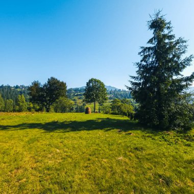 Ağacı ve dağı olan güzel bir manzara.