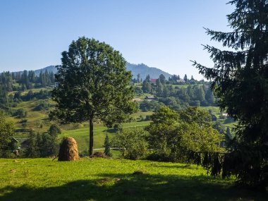 Karpatlarda Yaz manzarası