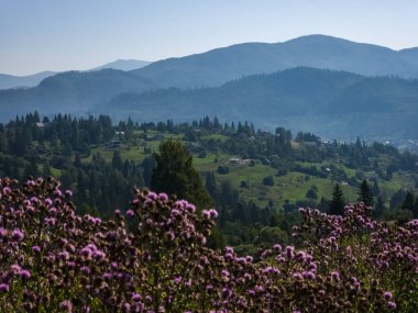 Dağları ve mavi gökyüzü olan güzel bir manzara.