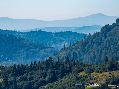 Yazın Karpatlar 'ın dağlarında güzel bir manzara