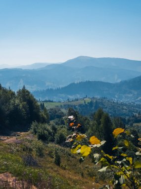 Dağların güzel manzarası