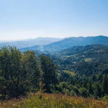 İspanya 'da Vitoşa yakınlarında renkli dağ ormanları olan inanılmaz bir yaz manzarası.