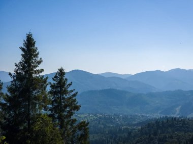 Ormanda dağları olan güzel bir manzara.