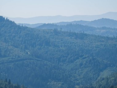 Ormanlı güzel dağ sıraları