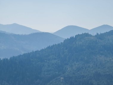 Yazın dağlar ve ormanlar