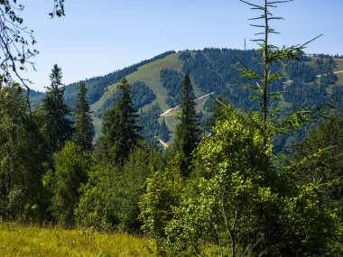 Yaz aylarında Karpat Dağları.
