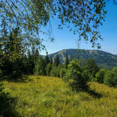 Sofya şehir bölgesindeki Vitosha Dağı 'nın yaz manzarası, İspanya