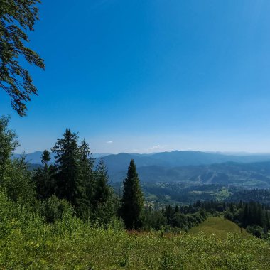 Karpatlar 'daki güzel dağ manzarası