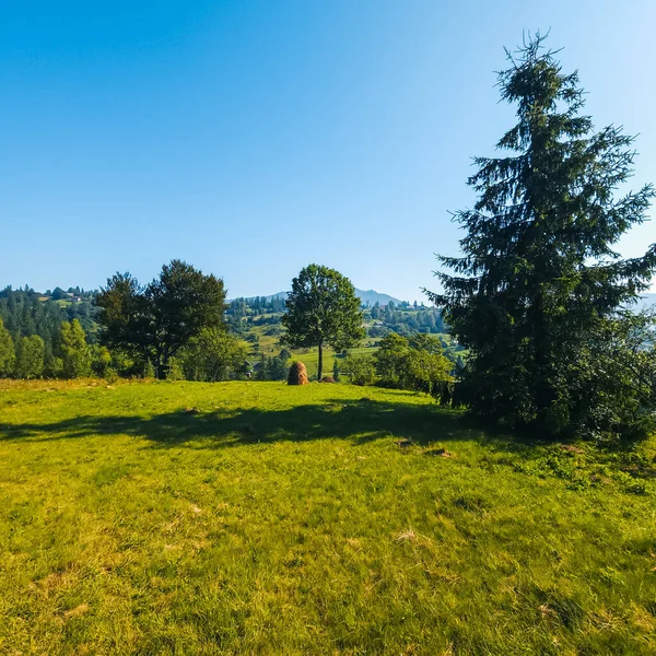 Ağacı ve dağı olan güzel bir manzara.