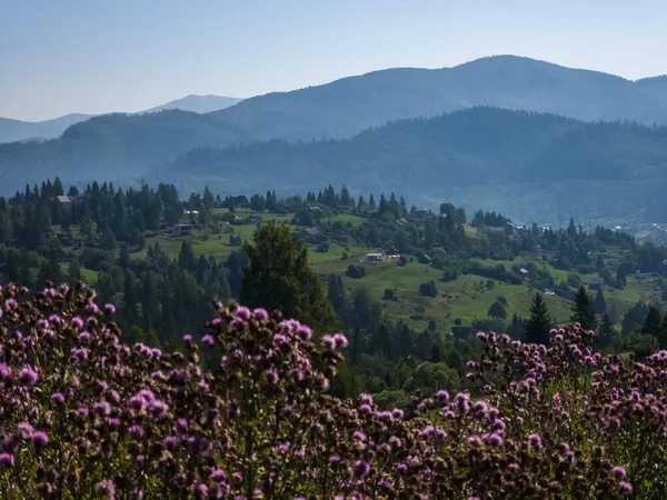 Dağları ve mavi gökyüzü olan güzel bir manzara.