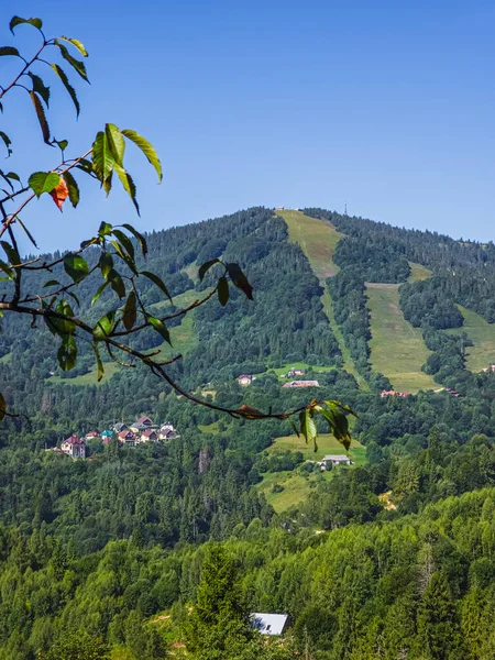 Yazın dağ vadisi manzarası