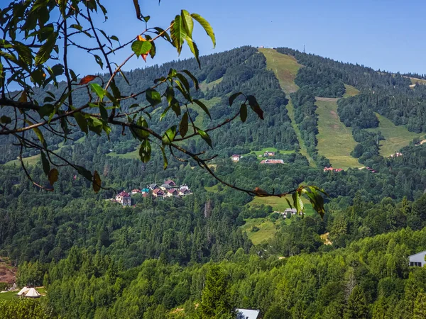 Yazın güzel dağ manzarası