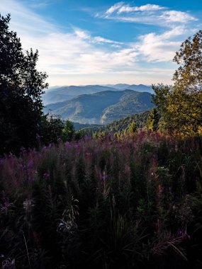 Tepe Dağları manzarası ve Kuzey Carolina Milli Parkı bayırı..