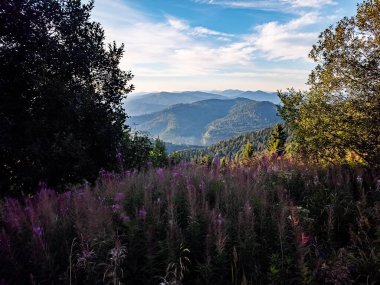 Bir dağ sırası ile güzel bir yaz manzarası