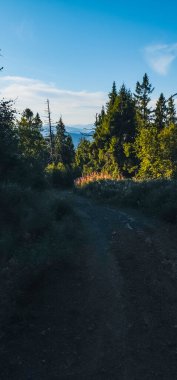 Arkasında bir dağ olan güzel bir manzara.