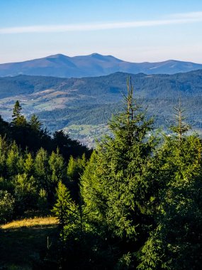 Arka planda yeşil orman olan bir dağın dikey görüntüsü.