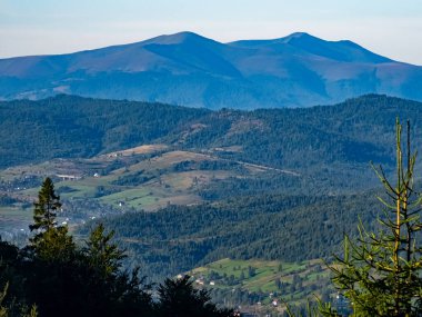 Karpatlar 'daki güzel dağlar ve ormanlar, Ukrayna. Metnin için harika bir yer