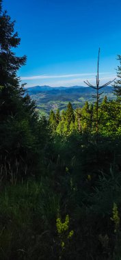 Dağların güzel manzarası