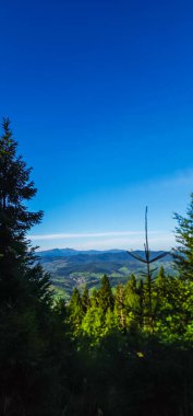 Güzel bir manzara Ağacı ve mavi gökyüzü