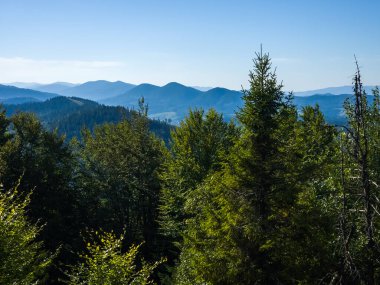 Dağların güzel manzarası