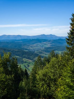Karpat dağlarının güzel yaz manzarası