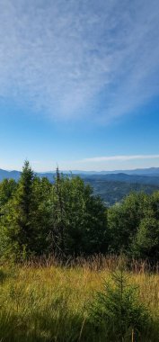 Bavyera Alpleri 'nin zirvesinden manzara