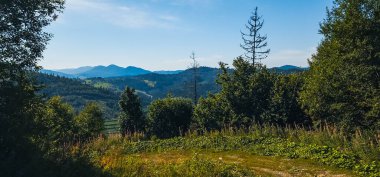 Ukrayna 'daki Karpatların güzel yaz manzarası