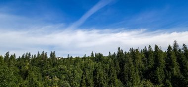 Dağlardaki ormanın güzel manzarası.