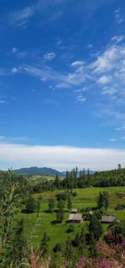 Arkasında bir dağ olan güzel bir manzara.