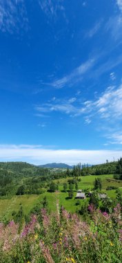 Dağları ve ağaçları olan güzel bir manzara.