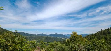 Bir dağ yamacında bir sürü bulutlu yeşil orman.