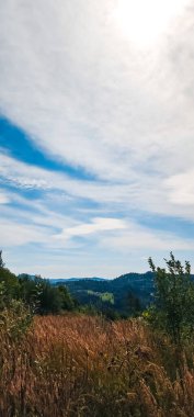 Ağaçlar ve mavi gökyüzü olan güzel bir manzara.