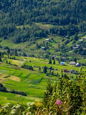 Doğanın güzel manzarası