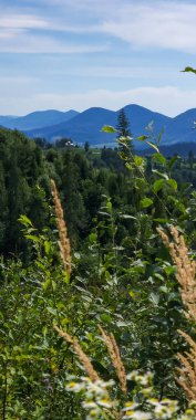 Güzel dağ manzarasının dikey bir görüntüsü. Önünde bir ağaç var.