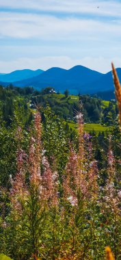dağların ve mavi gökyüzünün görünümü