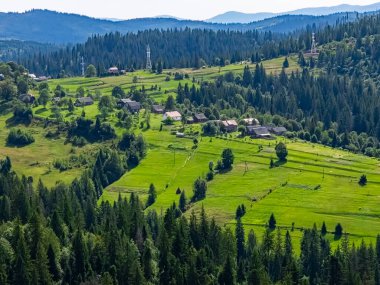 Dağlardaki yeşil ormanın havadan görünüşü