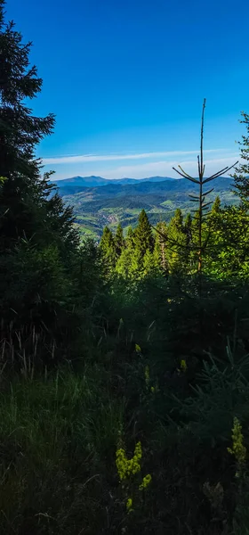 Dağların güzel manzarası