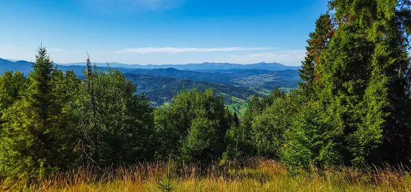 Sonbahar mevsiminde Karpat Dağları manzarası. ukraine.