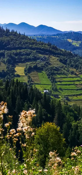 Dağlarda dağları olan güzel bir manzara.