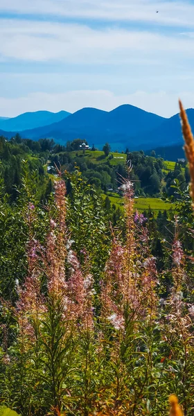 dağların ve mavi gökyüzünün görünümü