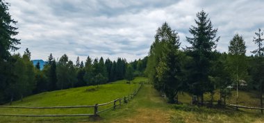 Yeşil Çimen ve Mavi Gökyüzü.