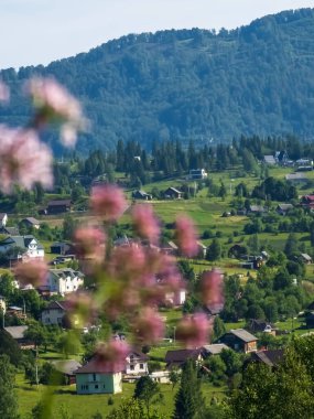 İsviçre 'de güzel bir kır manzarası.