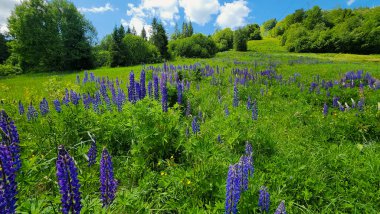 Dağlar vadisinin güzel manzarası
