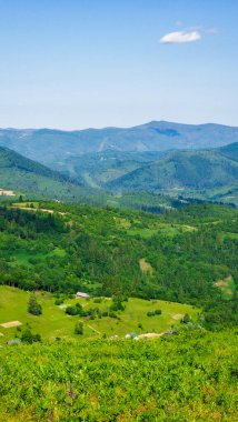 Yeşil ormanı olan güzel bir manzara.