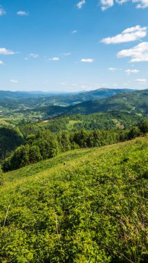 green hills of the ukrainian carpathian mountains. summer landscape with clouds.
