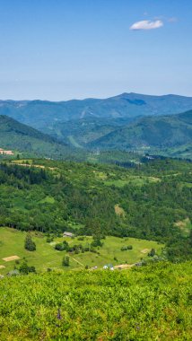Ukrayna Karpatları 'nda dağın tepesinden manzara