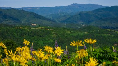 Dağları ve bulutları olan güzel bir manzara