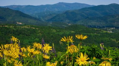 Dağların güzel manzarası